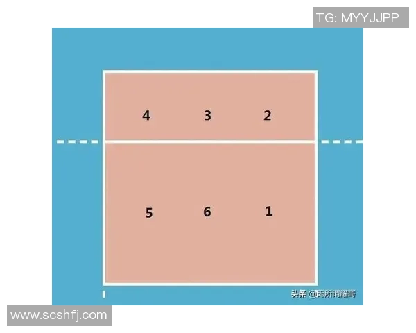 西安排球队的战术布局与比赛意识深度解析 西安排球队的战术布局与比赛意识深度解析