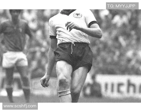 贝字足球明星的传奇故事与他们的辉煌成就解析