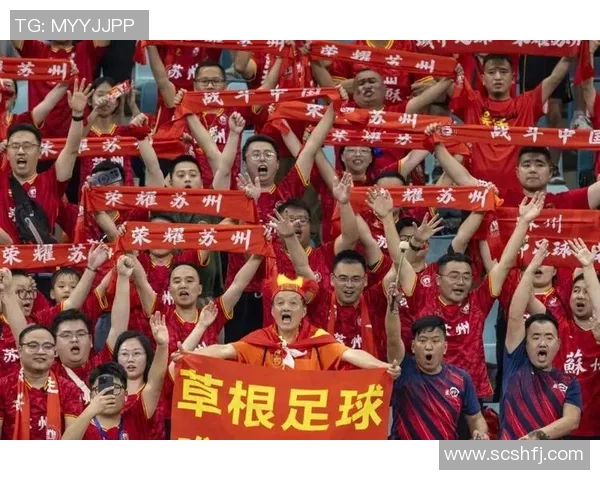 足球明星齐聚湖南引发热潮球迷狂欢期待精彩对决