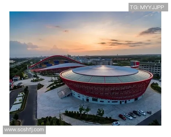 上海乒乓球队运营模式解析与发展策略探讨