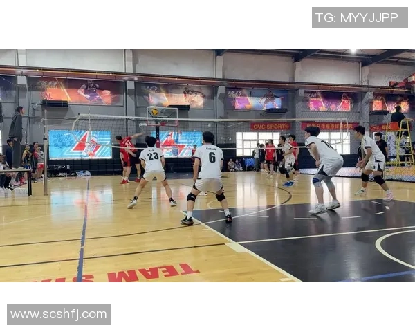 杭州排球队在城市联赛中的耐力表现分析与启示