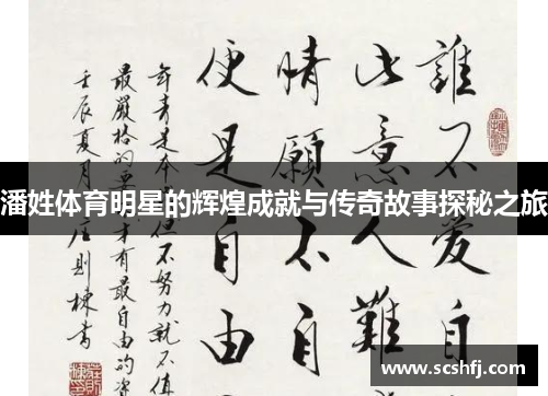 潘姓体育明星的辉煌成就与传奇故事探秘之旅