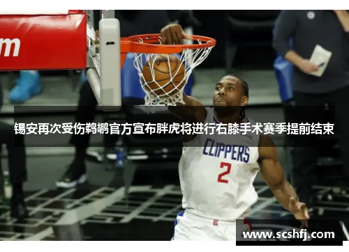 锡安再次受伤鹈鹕官方宣布胖虎将进行右膝手术赛季提前结束